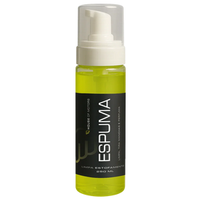 Espuma Interior Cleaner [Estoque Limitado]